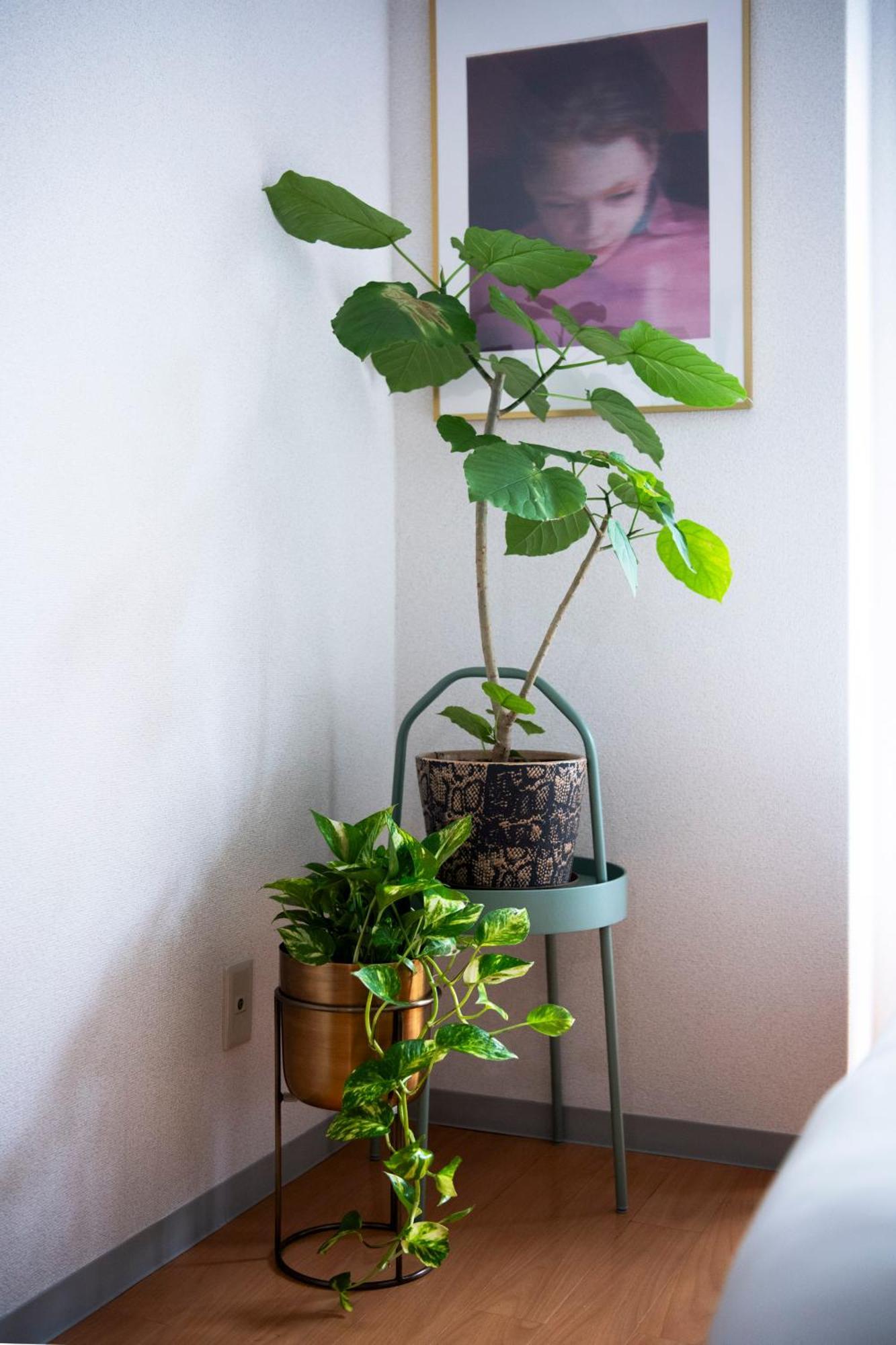 Renovated In June 2024 3mins Walk To Station 1stop To Shinjuku 3stop To Shibuya Appartement *